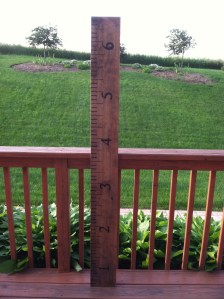 Growth Chart Ruler